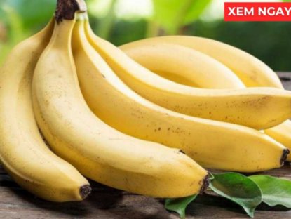 Thông tin doanh nghiệp - Thời điểm ăn chuối tốt hơn cả thuốc bổ, giúp phổi thông thoáng, ho giảm, đàm loãng và thở dễ hơn
