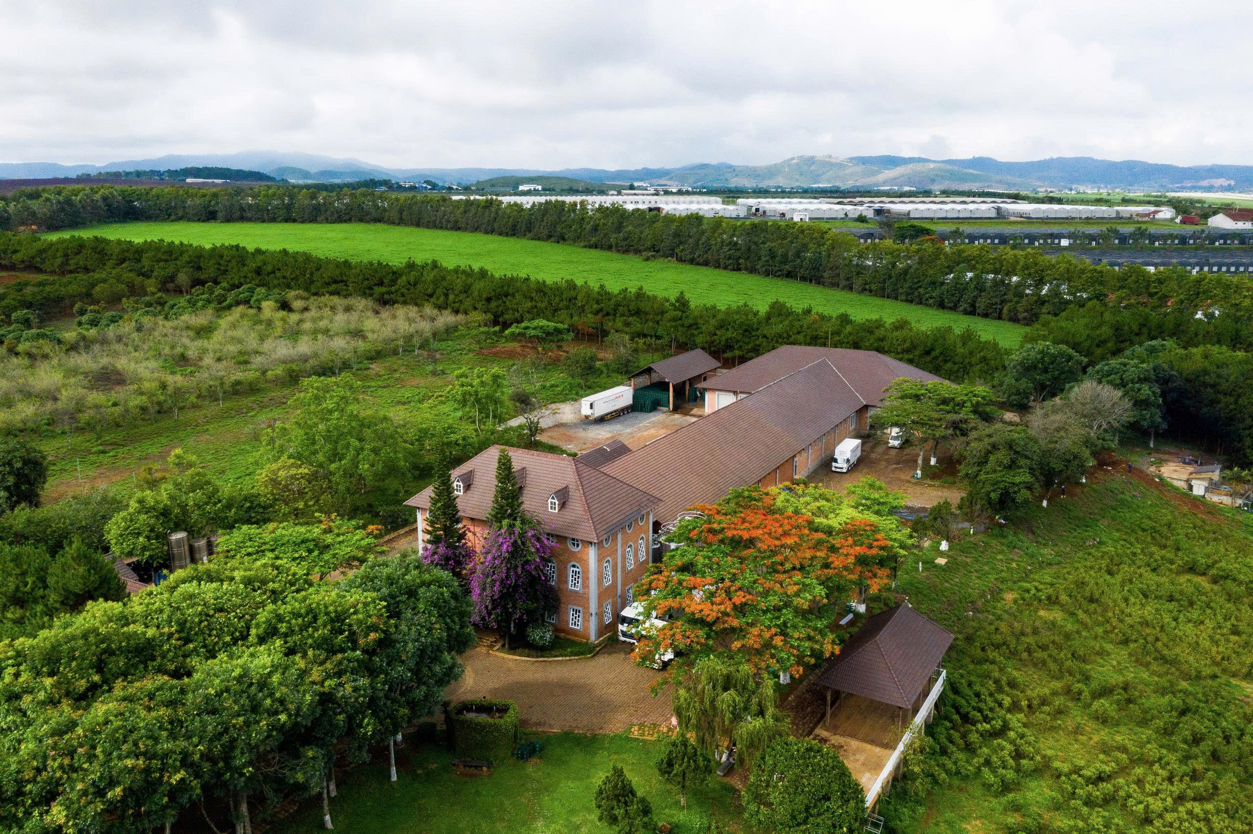 Dalatmilk ra mắt “Sữa Tươi Thanh Trùng Hương Chuối” - kết hợp hoàn toàn từ sữa tươi cao nguyên và hương chuối tự nhiên - 1