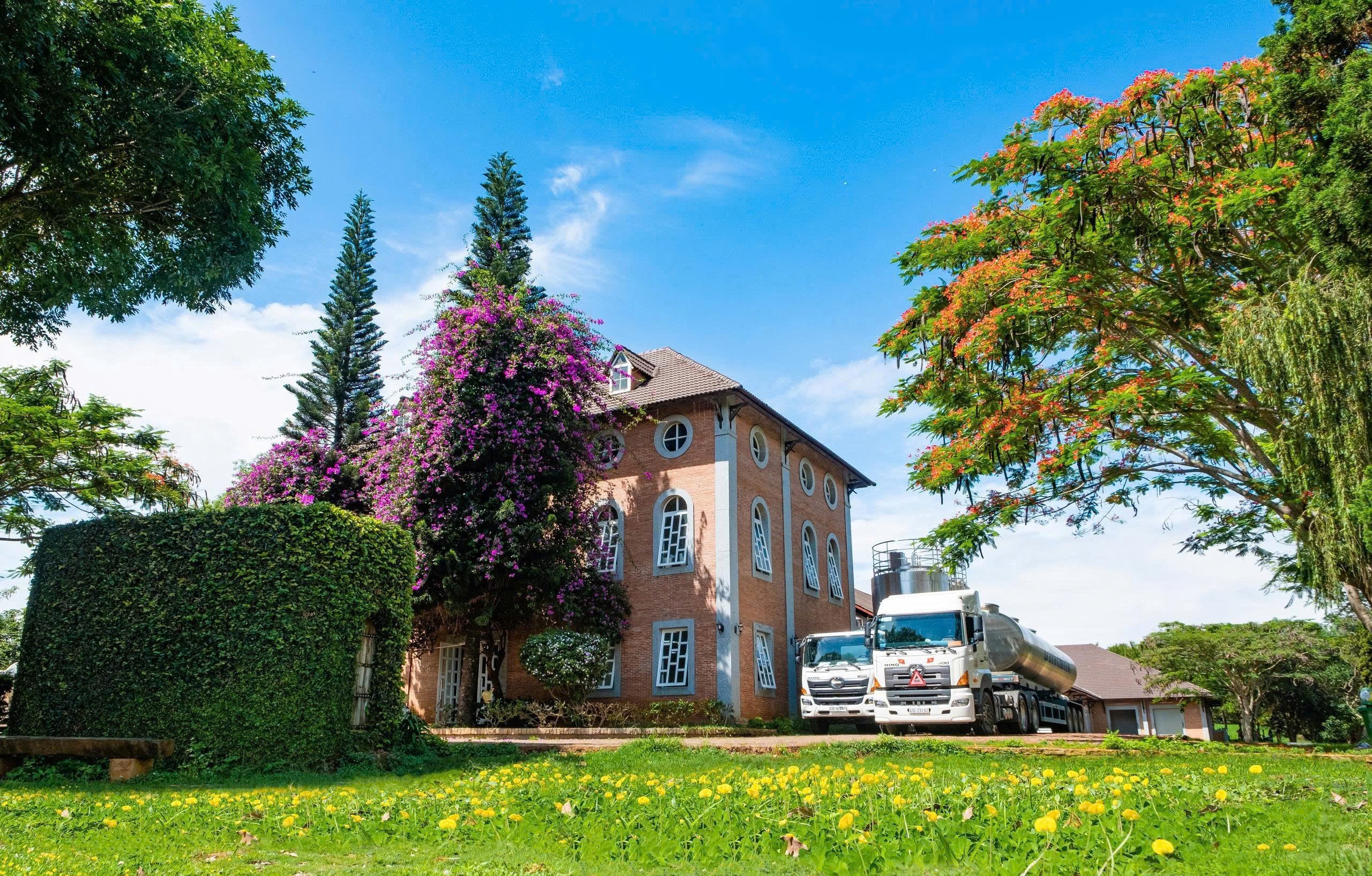 Dalatmilk ra mắt “Sữa Tươi Thanh Trùng Hương Chuối” - kết hợp hoàn toàn từ sữa tươi cao nguyên và hương chuối tự nhiên - 2