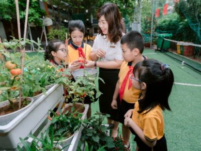 Thông tin doanh nghiệp - Lan tỏa ý thức bảo vệ môi trường qua hoạt động trải nghiệm mô hình vườn ươm