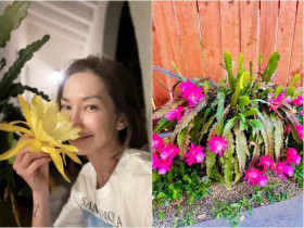 Kim Hiền và Thúy Nga khoe loài hoa cùng tên trong vườn nhà nhưng một bên gặp "hiện tượng lạ"