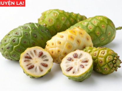 Thông tin doanh nghiệp - Loại quả có “mùi nồng” ở Việt Nam rẻ bèo, sang Nhật thành đặc sản tiền triệu, nhiều người tiếc vì biết quá muộn