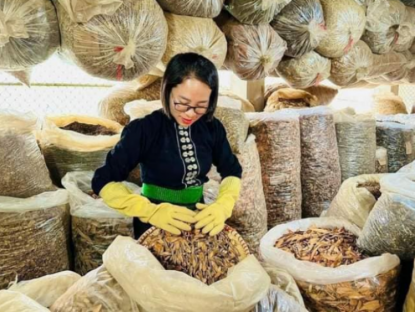 Thông tin doanh nghiệp - Lương Y Nguyễn Thị Thái và bài thuốc gia truyền chữa bệnh mạn tính