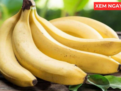 Thông tin doanh nghiệp - Thời điểm ăn chuối tốt hơn cả thuốc bổ, giúp phổi thông thoáng, ho giảm, đàm loãng và thở dễ hơn