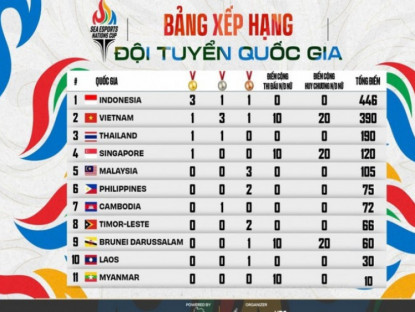 Công nghệ - Giải eSports Đông Nam Á cấp độ đội tuyển quốc gia: Việt Nam top 2, sau Indonesia