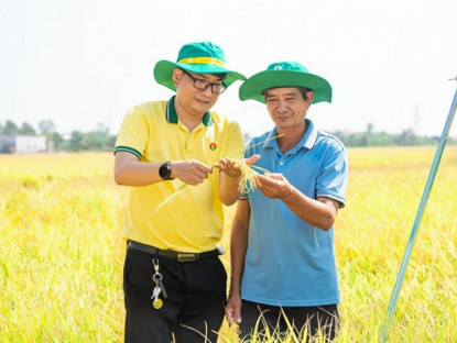 Thông tin doanh nghiệp - Phân Bón Cà Mau kịp thời hỗ trợ nhà nông vượt khó