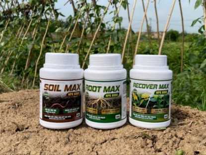 Thông tin doanh nghiệp - ROOT MAX NPK 8000: giải pháp kích rễ cực mạnh – kiến tạo nền móng cho nông nghiệp thịnh vượng