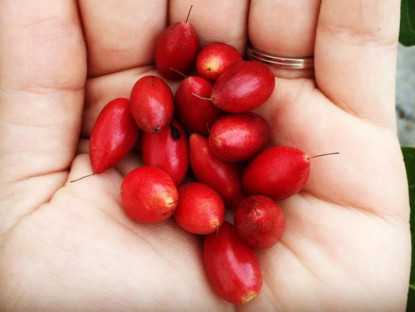 Thông tin doanh nghiệp - Trào ngược dạ dày đừng loay hoay tìm nhiều cách chữa, thử mẹo này 1 tháng thôi là biết