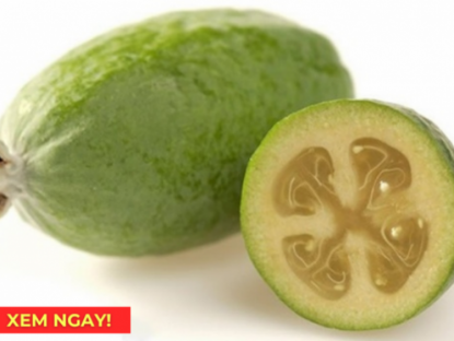 Thông tin doanh nghiệp - “Siêu trái cây” chứa hàm lượng vitamin C cao vượt trội, rất tốt cho hô hấp: Người Việt ăn nhiều mà ít biết!