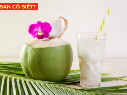 Thông tin doanh nghiệp - 2 thời điểm nên uống nước dừa rất tốt cho cơ thể, giúp làm dịu cổ họng, đàm bớt đặc, thở nhẹ hơn