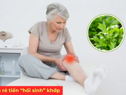Thông tin doanh nghiệp - Loại lá mọc đầy vườn, rẻ như cho nhưng là “khắc tinh” của bệnh xương khớp