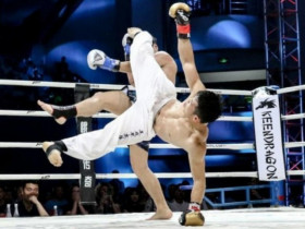 Đỉnh cao Thái Cực quyền: Võ sĩ dùng 