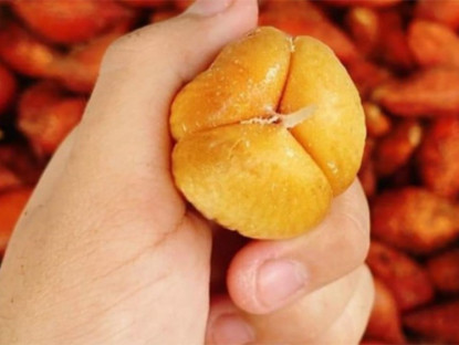 Thông tin doanh nghiệp - Điều gì khiến căn bệnh trào ngược dạ dày hôm qua vẫn hành hạ khổ sở, hôm nay đã ổn định