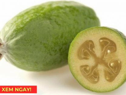 Thông tin doanh nghiệp - “Siêu trái cây” chứa hàm lượng vitamin C cao vượt trội, rất tốt cho hô hấp mùa nắng nóng!