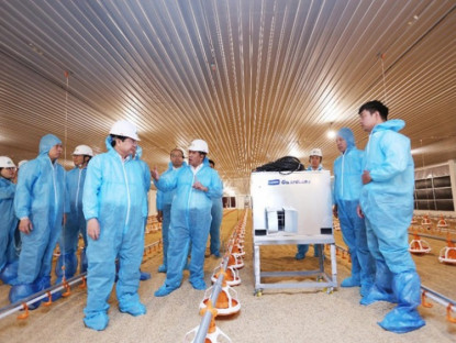 Thông tin doanh nghiệp - Lãnh đạo Tây Ninh khảo sát tiến độ Dự án chăn nuôi công nghệ cao DHN Tây Ninh 2