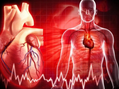 Thông tin doanh nghiệp - Mỡ máu cao – "kẻ giết người thầm lặng" không gõ cửa báo trước