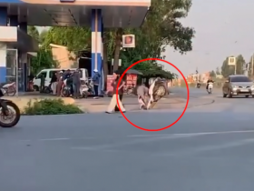 Clip: Mải nhìn 
