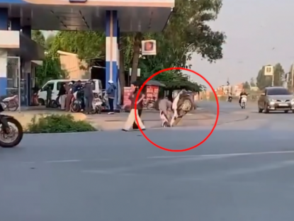 Giao thông - Clip: Mải nhìn "nơi khác", người đàn ông phóng xe cắm thẳng xuống rãnh thoát nước