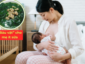“Siêu thực phẩm” từng mọc đầy hàng rào, nay được nhiều mẹ sau sinh ít sữa coi như “báu vật”