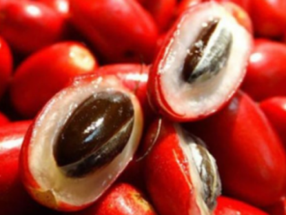 Thông tin doanh nghiệp - 5 thay đổi nhỏ mang lại hiệu quả bền vững cho bàng quang, tránh xa tiểu đêm khi về già