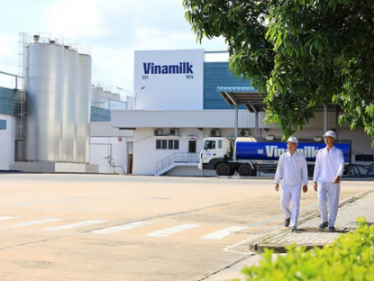 Thông tin doanh nghiệp - Vinamilk tiếp tục là đại diện duy nhất của ngành sữa Việt Nam trong Fortune 500 Đông Nam Á