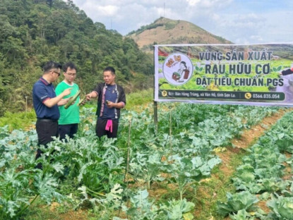 Thông tin doanh nghiệp - Bỏ phố về rừng và hành trình số hóa sản vật vùng cao của chàng trai H'Mông