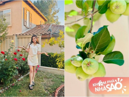 Gia đình - Ngôi nhà ngập tràn hoa trái của diễn viên Diệu Hương, đào - táo ngon ngọt sai lúc lỉu đến mùa thu hoạch