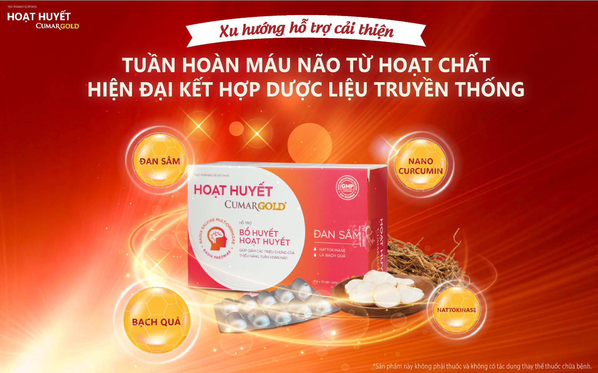 Xu hướng hỗ trợ cải thiện tuần hoàn máu não từ hoạt chất hiện đại kết hợp dược liệu truyền thống - 1