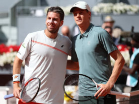 Tennis đỉnh cao sân cỏ: Sinner tái xuất đấu Norrie, Fonseca đối đầu 