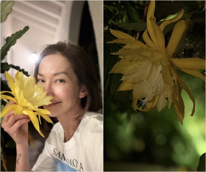 Kim Hiền và Thúy Nga khoe loài hoa cùng tên trong vườn nhà nhưng một bên gặp "hiện tượng lạ" - 1