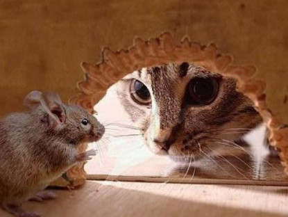  - Truyện ngụ ngôn "Mèo và Chuột"