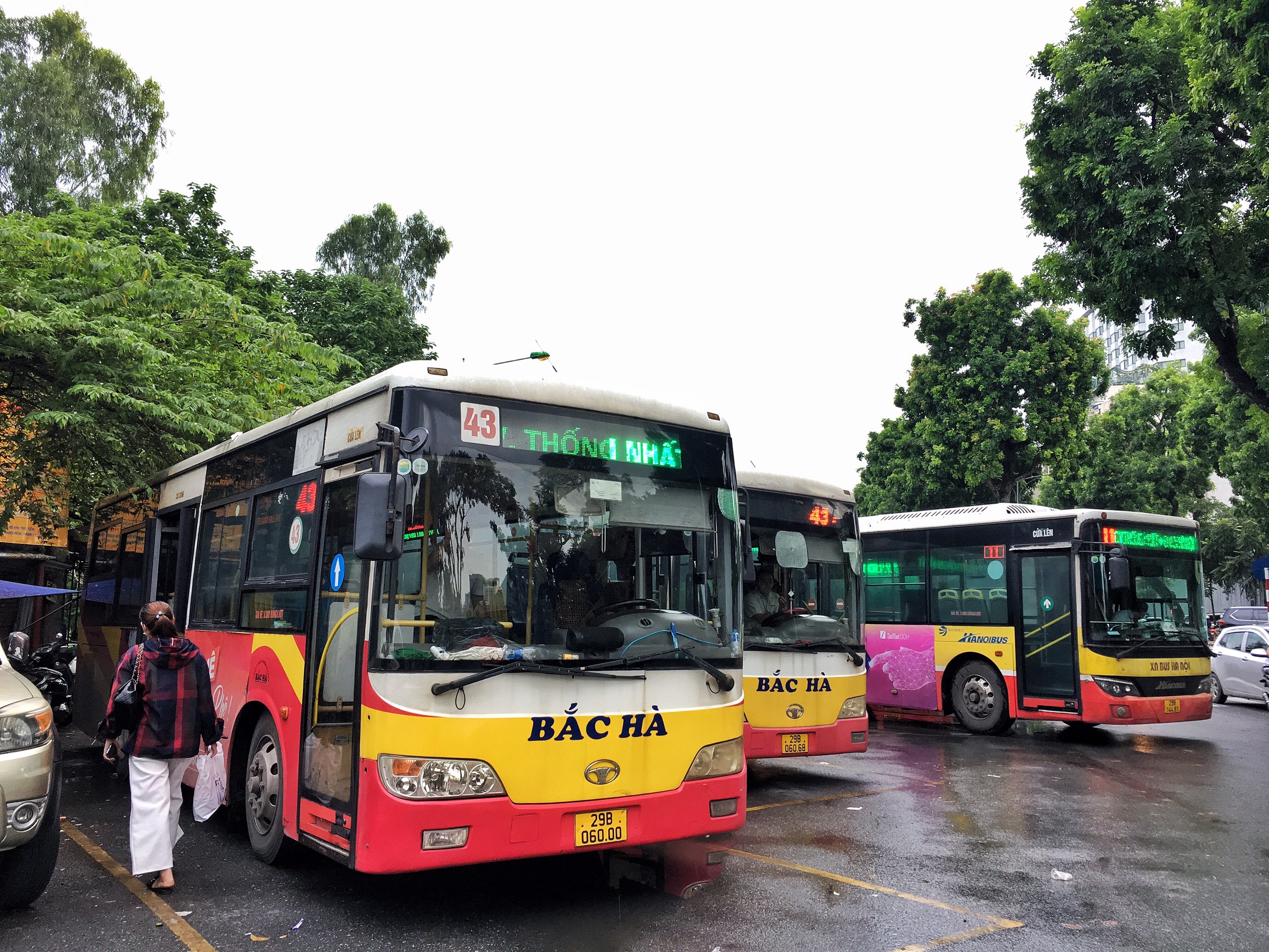 Hà Nội cho phép chỉ định thầu thay thế loạt tuyến buýt của Bắc Hà - 1