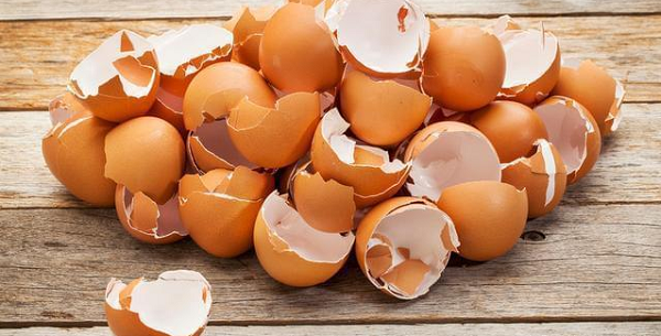 Đừng vứt vỏ trứng đi mà hãy ném vào ấm điện, một lúc sau điều bất ngờ sẽ xảy ra - 1