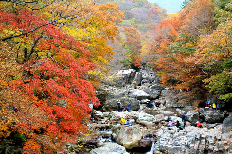 Chiêm ngưỡng những kỳ quan thiên nhiên tuyệt vời nhất Hàn Quốc - 1