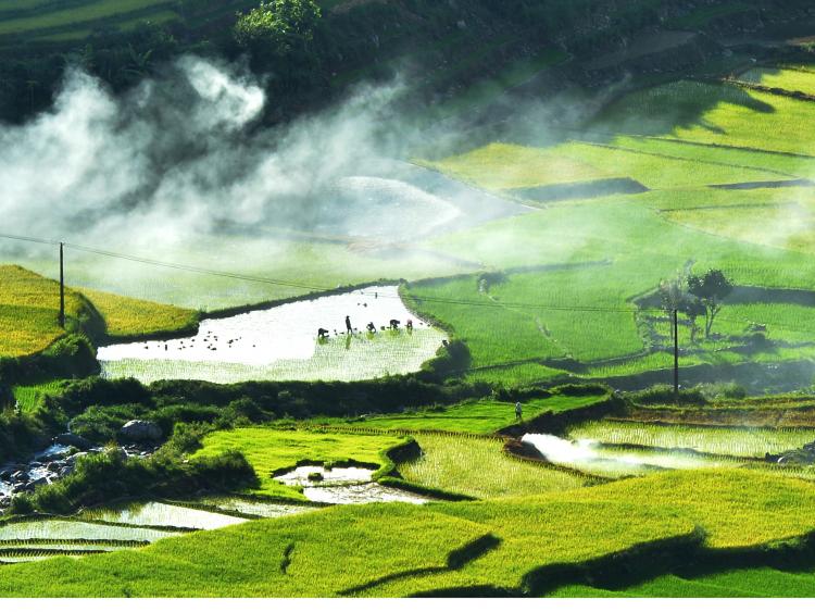 Chùm ảnh Mùa nước đổ ở Mù Cang Chải (Yên Bái)