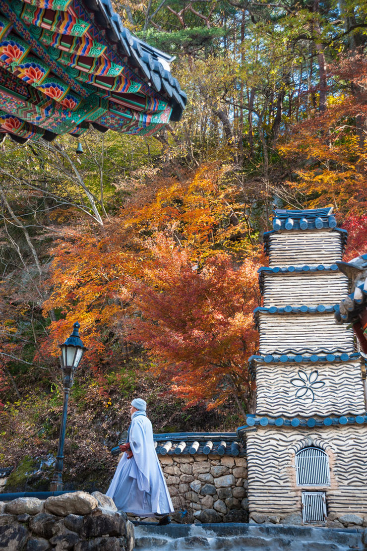 Chiêm ngưỡng những kỳ quan thiên nhiên tuyệt vời nhất Hàn Quốc - 5