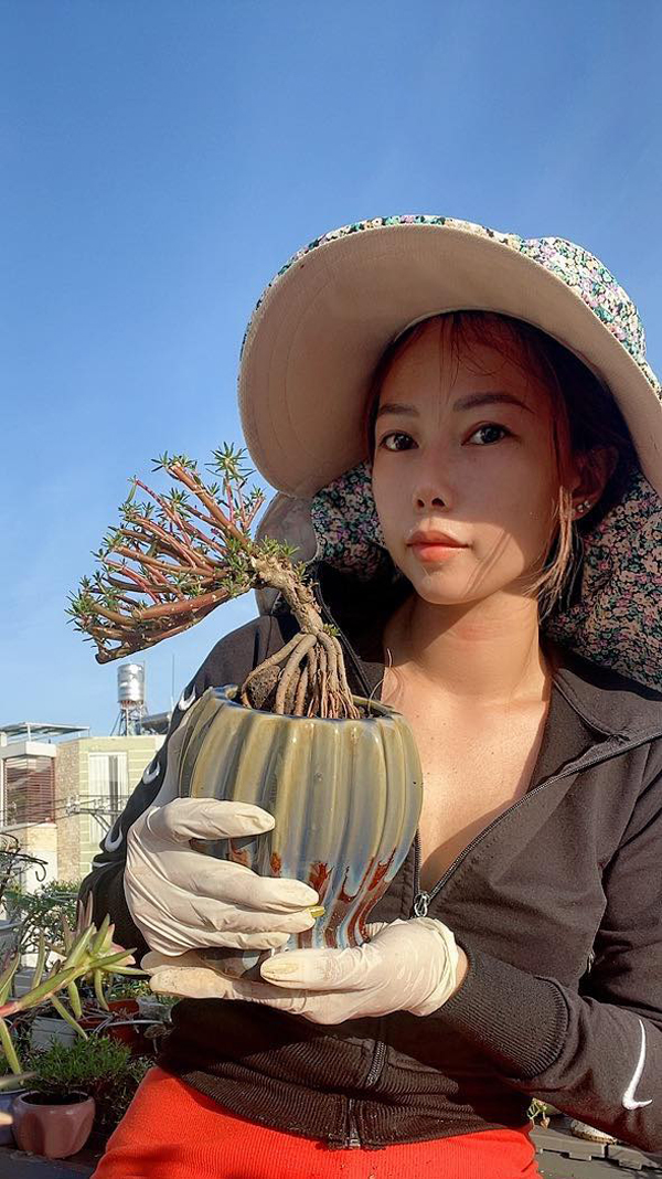 Dân Việt “chịu chơi”, chi hơn nửa triệu đồng để mua một cây hoa mười giờ - 3
