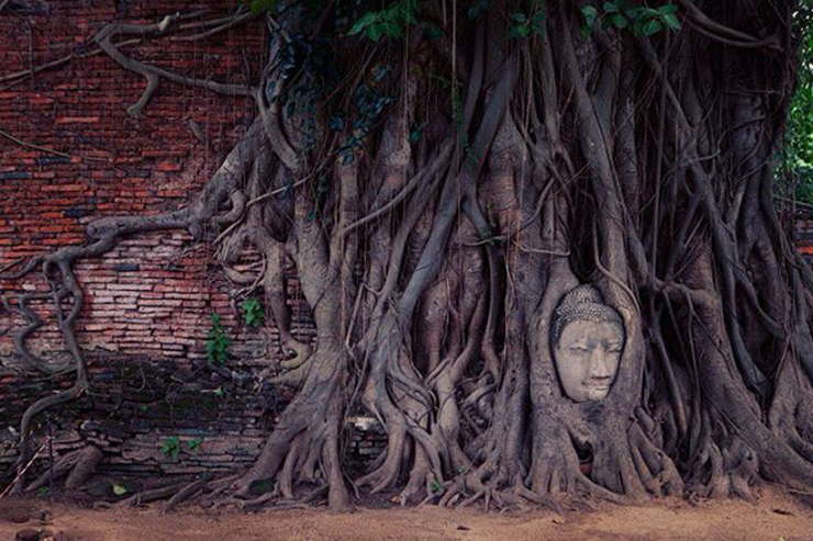 Ghé thăm Ayutthaya - Cố đô yên bình, cổ kính của Thái Lan - 9