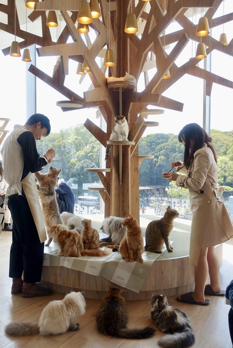 Kinh ngạc trước những quán cafe đầy ấn tượng ở Harajuku, Nhật Bản - 10