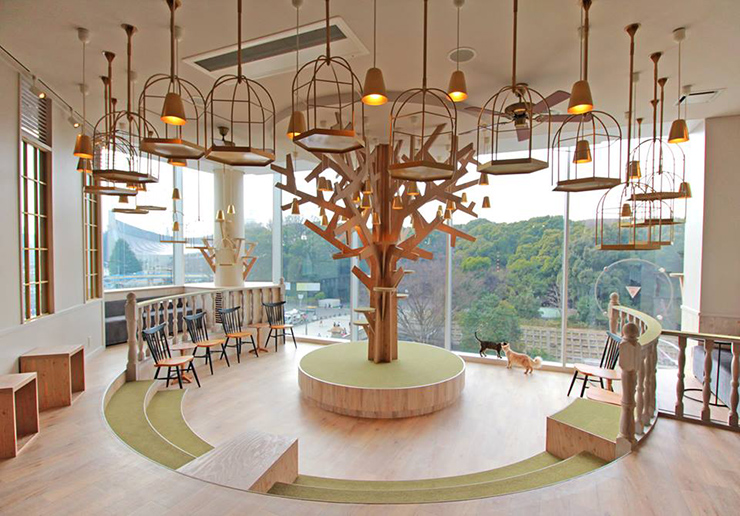 Kinh ngạc trước những quán cafe đầy ấn tượng ở Harajuku, Nhật Bản - 6