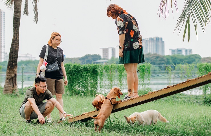 Công viên dành cho thú cưng mở cửa miễn phí, hút hàng trăm lượt “khách” mỗi ngày - 4