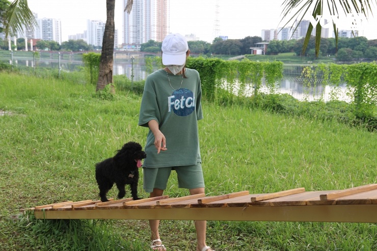 Công viên dành cho thú cưng mở cửa miễn phí, hút hàng trăm lượt “khách” mỗi ngày - 1