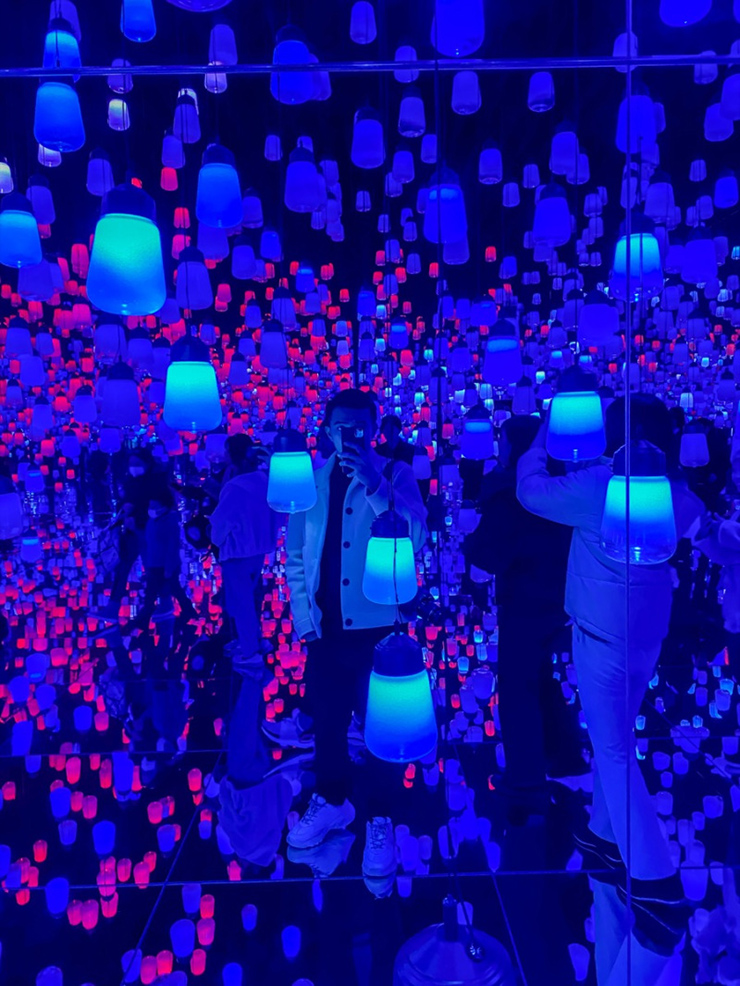 Trải nghiệm “Thế giới vô tận” tại Bảo tàng Nghệ thuật Kỹ thuật số ở Tokyo - 13