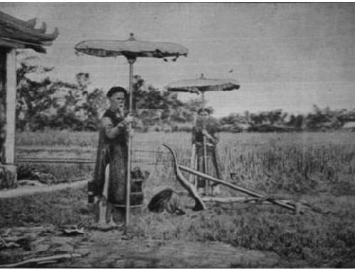 Sự ra đời của bộ sách khoa học nông nghiệp đầu tiên của Việt Nam - 1