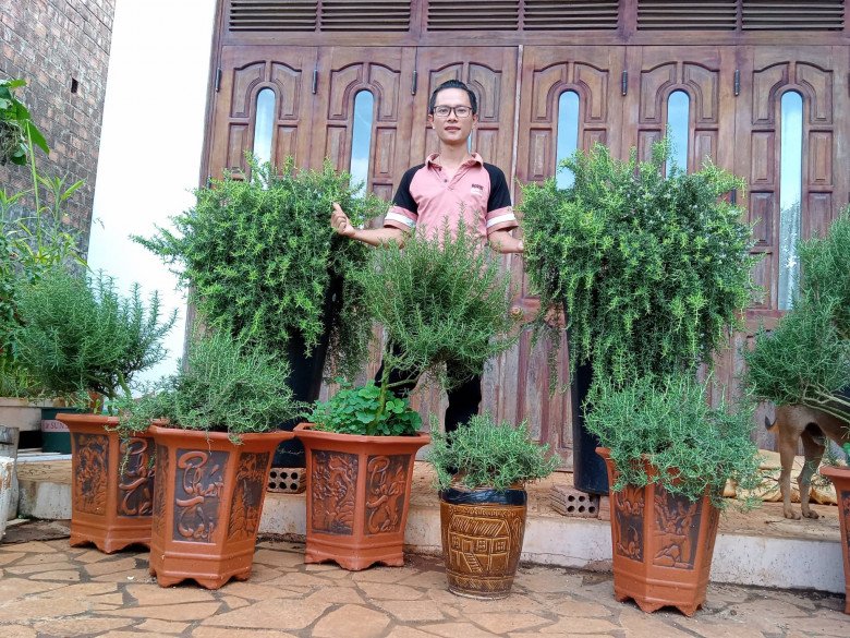 Nhổ tiêu trồng thảo mộc, 8X Pleiku được vườn đẹp như tranh, góc nào cũng thơm nức mũi - 12