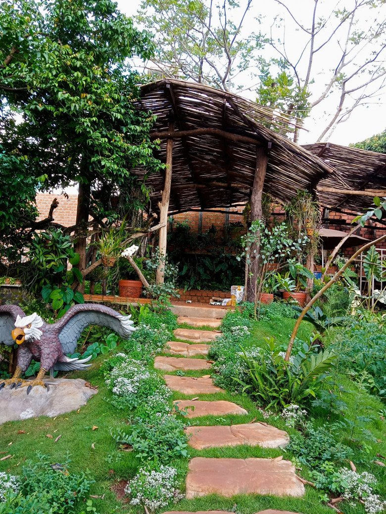 Nhổ tiêu trồng thảo mộc, 8X Pleiku được vườn đẹp như tranh, góc nào cũng thơm nức mũi - 5