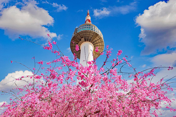 16 việc phải làm ngay khi bạn du lịch đến Seoul - 1
