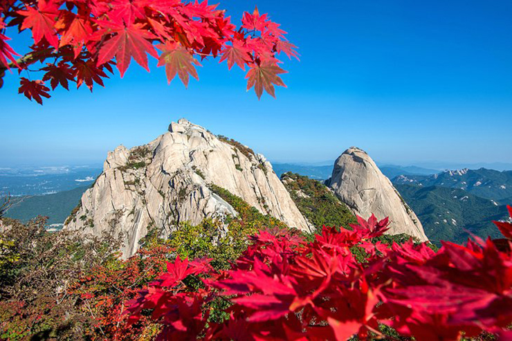 16 việc phải làm ngay khi bạn du lịch đến Seoul - 12