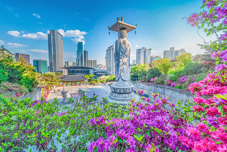 16 việc phải làm ngay khi bạn du lịch đến Seoul - 9