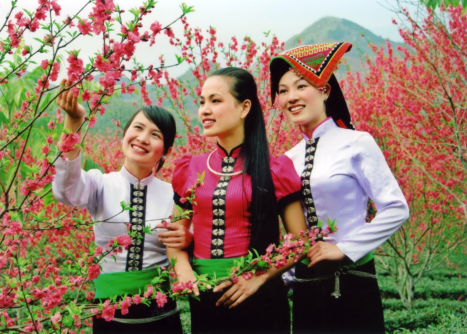 Đông Nam Á: Một “vườn văn hóa” đặc sắc, đa dạng - 4